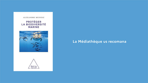 Mediatheque