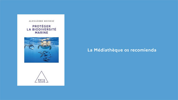 Mediatheque